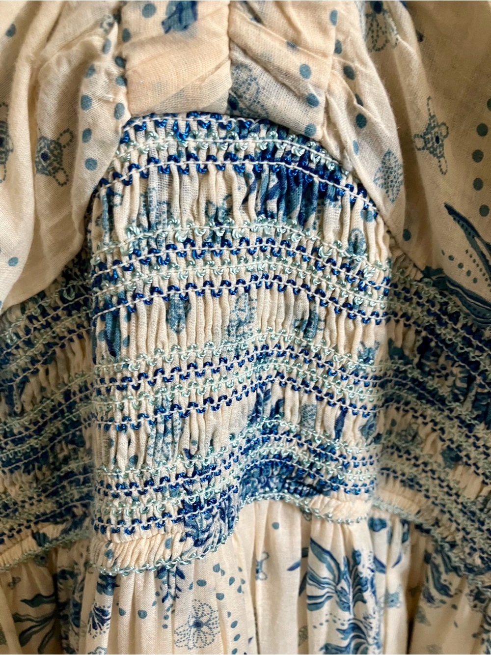 Free People Cream Maxi Dress with Blue Floral Print - Picture 3 of 9